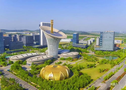 海外独角兽落子武汉，百企联合打造开放源代码产业新高地