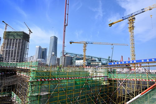 青岛国际邮轮港区加速建设，企业总部管理黄金期按下快进键